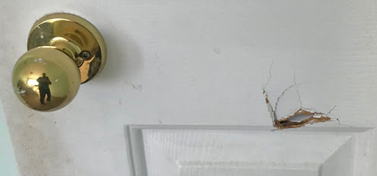 interior door hole repair Millbrae