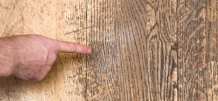 Wood Door Scratch Repair in Millbrae